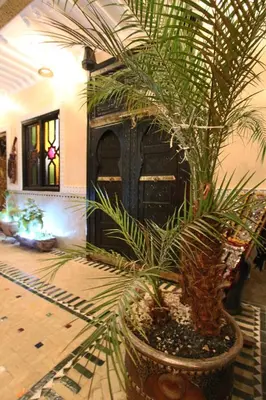 a palm tree in a large pot in a room at RIAD MAKENE MOUCHKILL in Marrakech