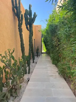 a path with cacti and plants next to a building at Luxury Palm Villa in Marrakech