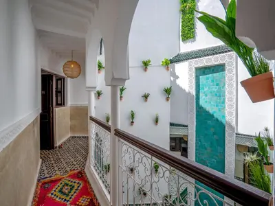a corridor of a house with plants on the wall at Riad Art & Emotions in Marrakech