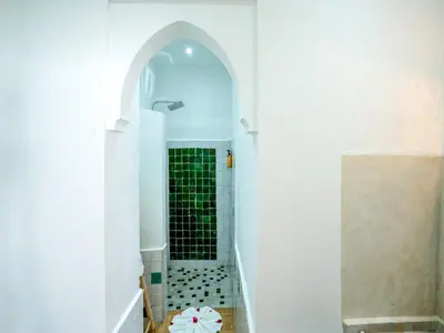 a bathroom with a shower with a black and green tile at Riad Art & Emotions in Marrakech
