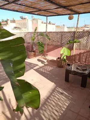 a patio with a large green leafy plant at Riad Mina in Marrakech