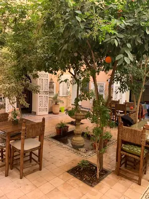 a courtyard with a tree and a table and chairs at Hostel Laksour in Marrakech