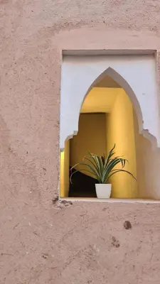 a plant in a window of a building at Hostel Laksour in Marrakech