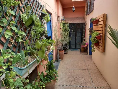 an alley with plants on the side of a building at studio Dar Rmila in Marrakech