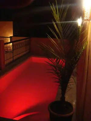 a potted plant in a room with a red light at Riad Hermès in Marrakech