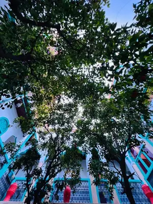 a tree in front of a building with windows at Riad Al Nour in Marrakech