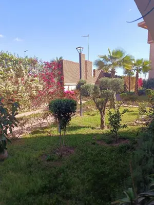 two trees in the grass with a building in the background at La Perla de Marrakech Appart de Luxe in Marrakech