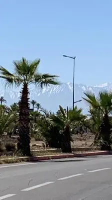 a street with palm trees and a street light at La Perla de Marrakech Appart de Luxe in Marrakech