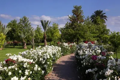 a row of white and purple flowers in a park at Valeria Dar Atlas All Inclusive in Marrakech