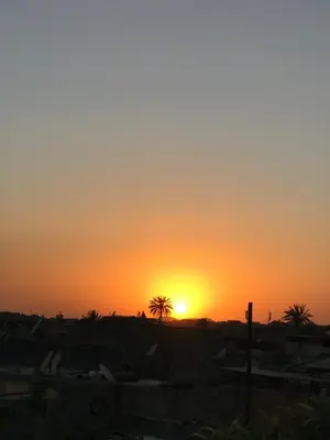 a sunset over a city with palm trees at DAR CHIBANIA in Marrakech