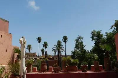 a row of plants on a table with a bow at Emplacement N°1 ! RIAD ICA (EN EXCLUSIVITE) in Marrakech