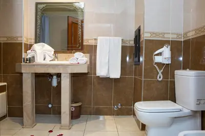 a bathroom with a toilet and a sink and a mirror at Hotel Gomassine in Marrakech