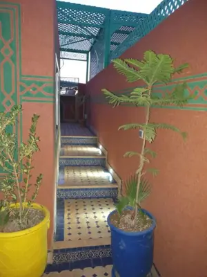a hallway with two potted plants and a staircase at Charmant Riad avec piscine, au Coeur de Marrakech in Marrakech