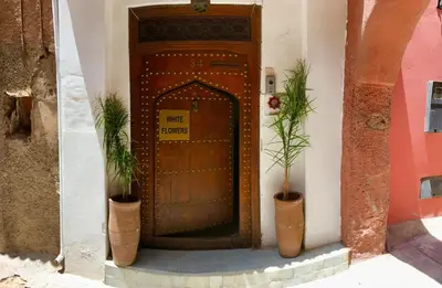 a wooden door with two potted plants in front of it at Riad white flowers in Marrakech