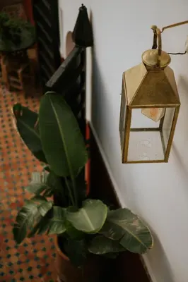a plant in a vase next to a lamp at Riad Nanou - Private Riad with Pool & Rooftop in Marrakech