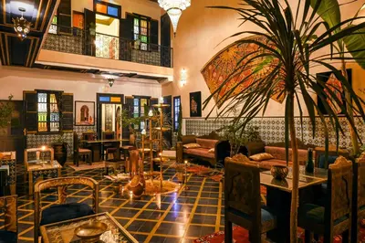 a living room with a potted plant in the center at Riad Nouceiba Marrakech in Marrakech