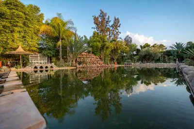 a pond in a park with trees and a gazebo at Domaine Alma Marrakech in Marrakech