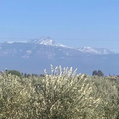 a field of grass with a mountain in the background at Beldicolors in Marrakech