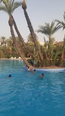 a group of people in a swimming pool with palm trees at marrakech palmeraie village Etablissement jasmin in Marrakech