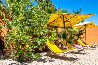 two yellow chairs and an umbrella on a beach at Riad Citronnelle in Marrakech