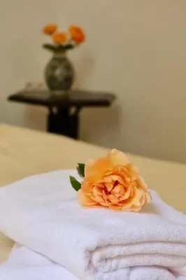 a vase with a flower on top of a towel at house rose in Marrakech