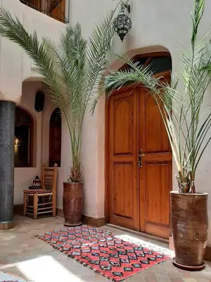 two potted plants in front of a wooden door at Riad Sabah in Marrakech