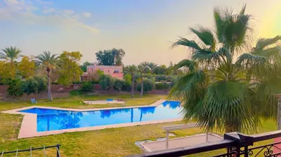 a swimming pool in a yard with a palm tree at Villa Marrakech in Marrakech