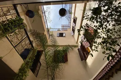 an overhead view of a building with potted plants at Riad Of The Storks in Marrakech