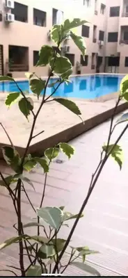 a plant in front of a swimming pool at Appartement de luxe et moderne in Marrakech