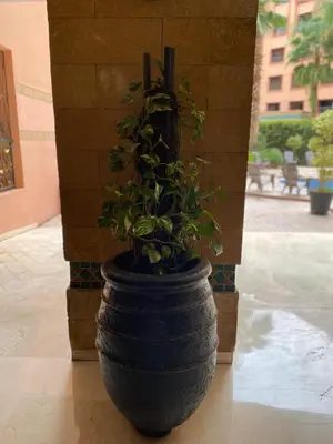 a large black pot with a plant in it at Résidence Caprice Palace Hivernage in Marrakech