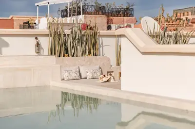 two dogs laying on a couch next to a swimming pool at Riad Nyla Wellness and Spa in Marrakech
