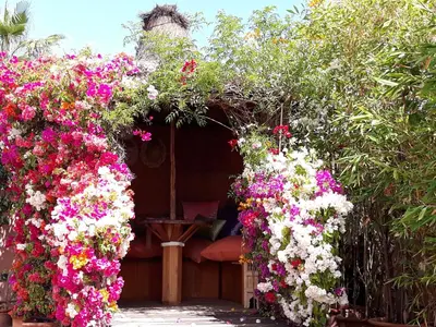 a garden with pink and white flowers on a fence at Riad Jnane d'Ô in Marrakech