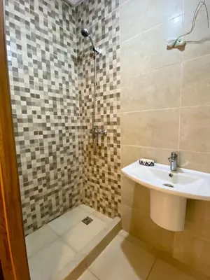 a bathroom with a sink and a shower at Appartement 2 chambres salon centre de Gueliz 19 in Marrakech