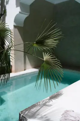 a palm tree sitting next to a swimming pool at Riad Al Massarah in Marrakech