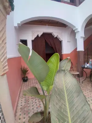 a plant in a room with a fireplace at Riad 9 Derb El Bousnne in Marrakech