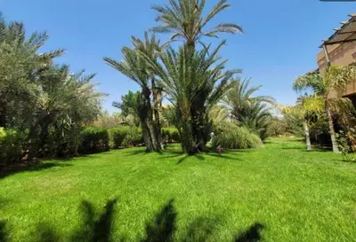 a large yard with palm trees and green grass at Palmeraie 5 Vue Piscine et Jardin in Marrakech