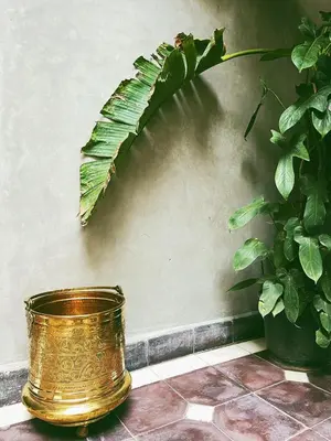 a gold bucket sitting on a floor next to a plant at Riad Deux Palmiers in Marrakech