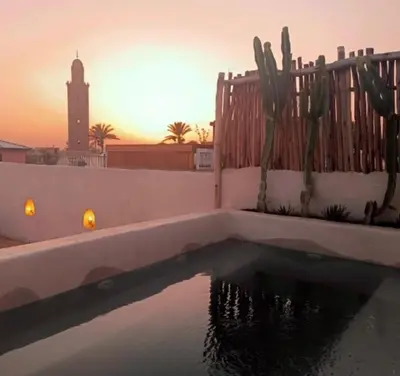 a pool of water with a fence and a cactus at Riad Nekhla in Marrakech