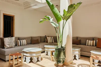 a living room with a couch and a plant in a vase at Ryad Selyen in Marrakech