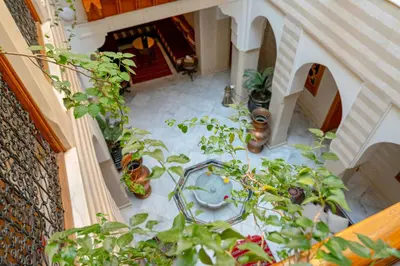 an overhead view of a room with potted plants at Palais Tara & Spa in Marrakech
