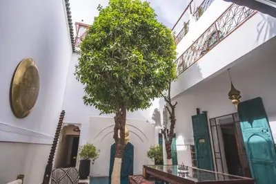 a tree in the middle of a building at Riad Villa Berna under Swiss Management in Marrakech