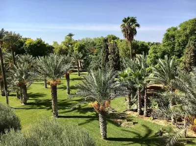 a group of palm trees in a park at Le Havre de paix in Marrakech