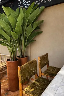 two chairs and a plant sitting next to a wall at RIAD JOUJ- Oasis privée avec bassin et SPA - kasbah in Marrakech
