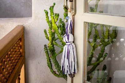 a closed door with a cactus painting on a wall at Riad Kasbabouch - Breakfast - 10mn to Jamaa Al Fna in Marrakech