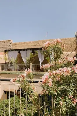 a building with pink flowers in front of it at Riad Maison 24 in Marrakech