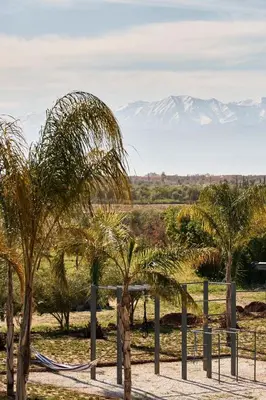 a group of palm trees with mountains in the background at Dar Meha in Marrakech