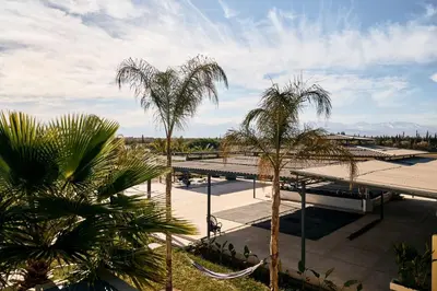 a group of palm trees in a parking lot at Dar Meha in Marrakech