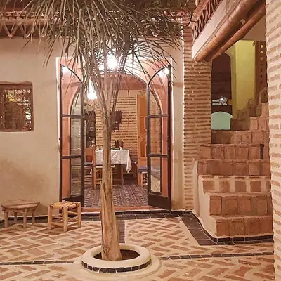 a palm tree in a room with a table at Beldi Riad in Marrakech