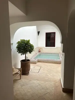 a swimming pool with a potted tree in a room at Riad Le Manzil Beldi in Marrakech