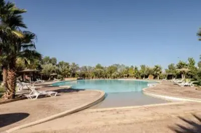 a large swimming pool with chairs and palm trees at appartement in Marrakech